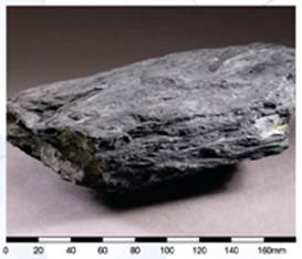 Carboniferous Lok Ma Chau Formation