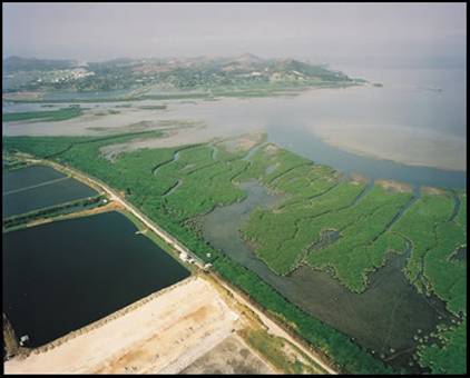 Offshore Superficial Deposits