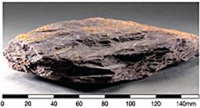Early Cretaceous Pat Sin Leng Formation