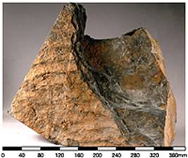 Eocene Ping Chau Formation
