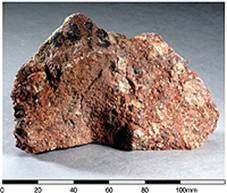 Late Cretaceous Port Island Formation